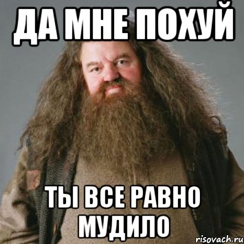 Да мне похуй Ты все равно мудило