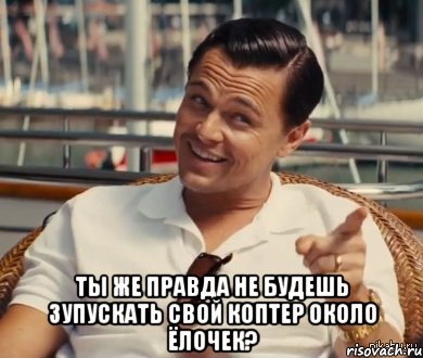  ты же правда не будешь зупускать свой коптер около ёлочек?, Мем Хитрый Гэтсби