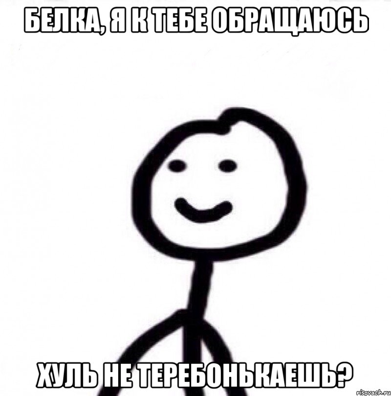 Белка, я к тебе обращаюсь Хуль не теребонькаешь?, Мем Теребонька (Диб Хлебушек)