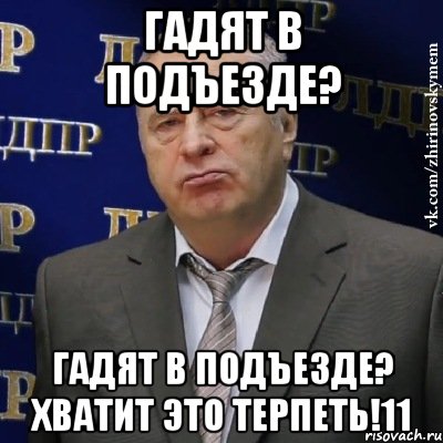 ГАДЯТ В ПОДЪЕЗДЕ? ГАДЯТ В ПОДЪЕЗДЕ? ХВАТИТ ЭТО ТЕРПЕТЬ!11, Мем Хватит это терпеть (Жириновский)