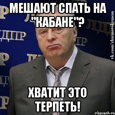 Мешают спать на "кабане"? ХВАТИТ ЭТО ТЕРПЕТЬ!, Мем Хватит это терпеть (Жириновский)