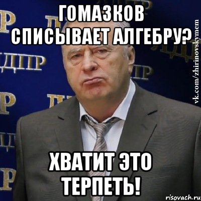 гомазков списывает алгебру? Хватит это терпеть!, Мем Хватит это терпеть (Жириновский)