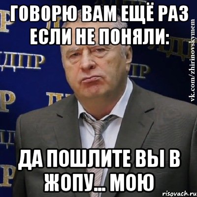 Говорю вам ещё раз если не поняли: Да пошлите вы в жопу... мою, Мем Хватит это терпеть (Жириновский)