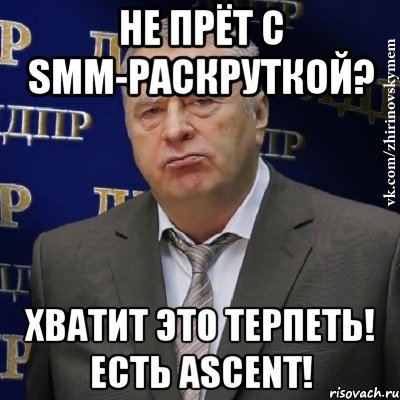 Не прёт с SMM-раскруткой? Хватит это терпеть! Есть Ascent!, Мем Хватит это терпеть (Жириновский)