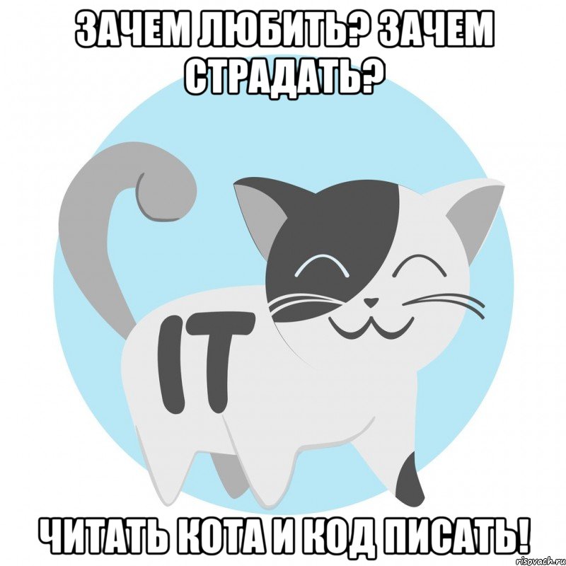 Зачем любить? Зачем страдать? Читать кота и код писать!
