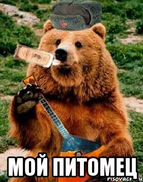  Мой питомец, Мем как видят Россию иностранцы