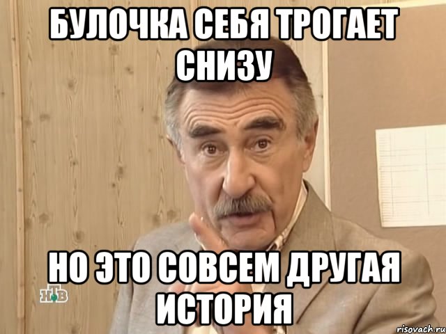 Булочка себя трогает снизу Но это совсем другая история, Мем Каневский (Но это уже совсем другая история)