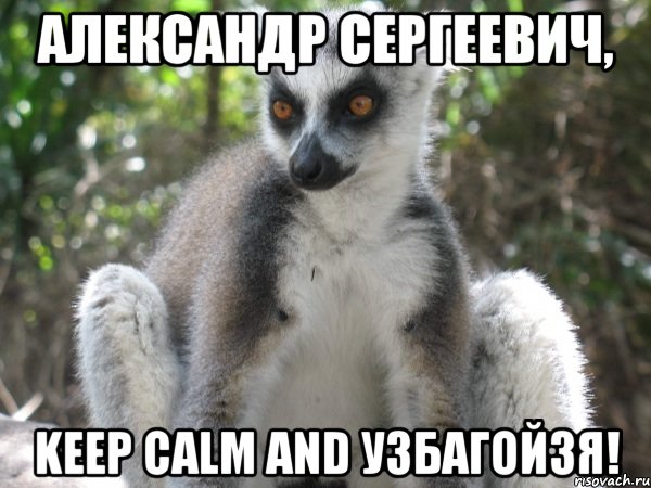 Александр Сергеевич, Keep Calm and узбагойзя!