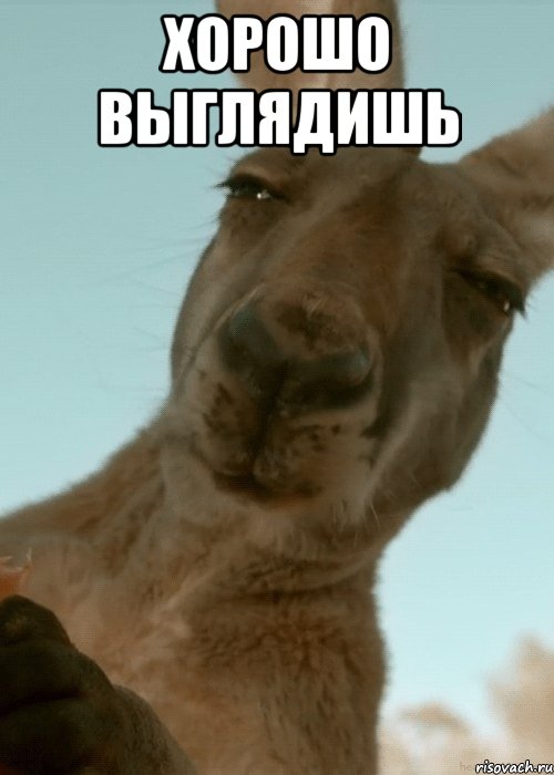 Хорошо выглядишь 