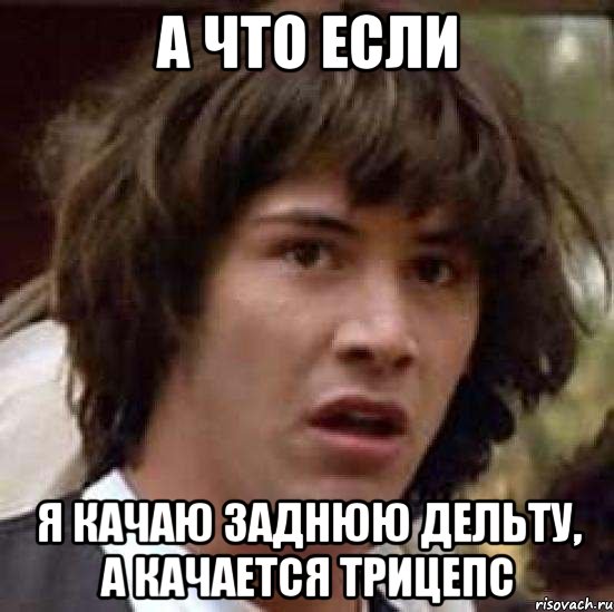 А что если Я качаю заднюю дельту, а качается трицепс, Мем А что если (Киану Ривз)