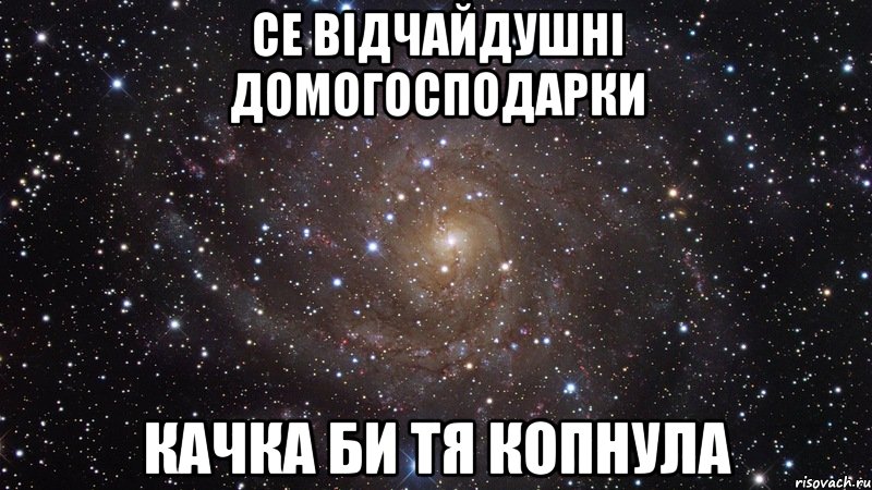 Се Відчайдушні Домогосподарки Качка Би Тя Копнула, Мем  Космос (офигенно)