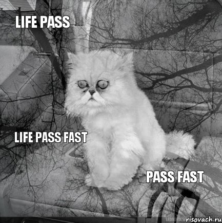 Life pass   pass fast Life pass fast, Комикс  кот безысходность