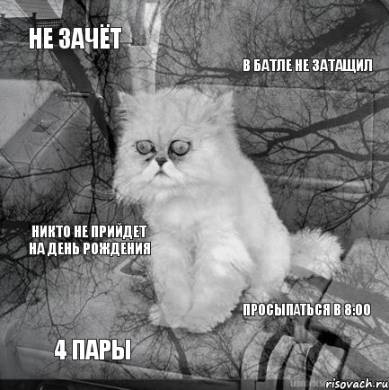 Не зачёт В батле не затащил 4 пары Просыпаться в 8:00 Никто не прийдет на день рождения, Комикс  кот безысходность