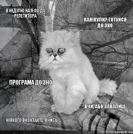 в неділю на 8:00 до репетитора канікули? готуйся до ЗНО ніякого ВКонтакте. вчись вчи, або завалиш програма до ЗНО