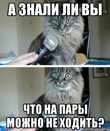 А знали ли вы что на пары можно не ходить?, Комикс  кот с микрофоном