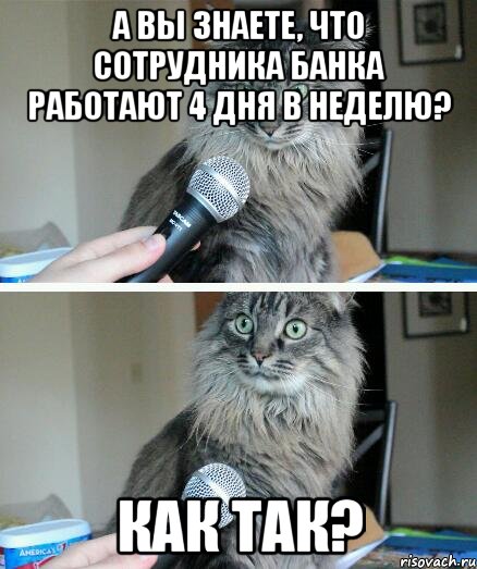 А ВЫ ЗНАЕТЕ, ЧТО СОТРУДНИКА БАНКА РАБОТАЮТ 4 ДНЯ В НЕДЕЛЮ? КАК ТАК?, Комикс  кот с микрофоном