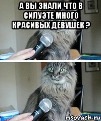 а вы знали что в силуэте много красивых девушек ? 