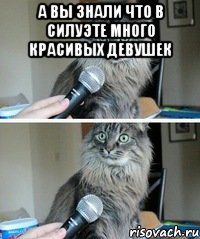 а вы знали что в силуэте много красивых девушек 