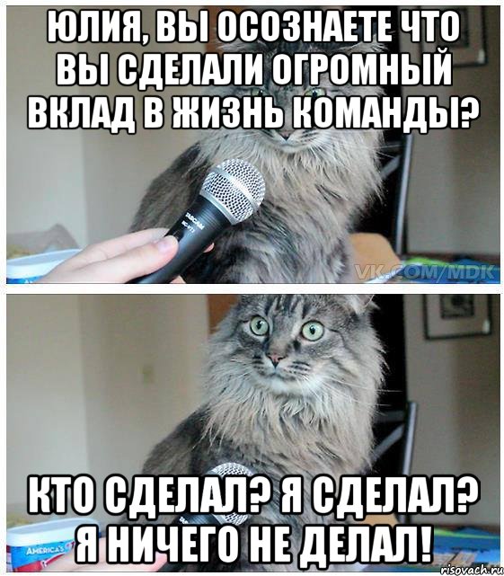 Юлия, вы осознаете что вы сделали огромный вклад в жизнь команды? Кто сделал? Я сделал? Я ничего не делал!, Комикс  кот с микрофоном