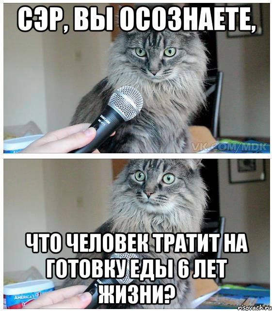 Сэр, Вы осознаете, Что человек тратит на готовку еды 6 лет жизни?, Комикс  кот с микрофоном