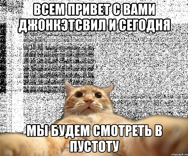 Всем привет с вами ДжонКэтсвил и сегодня Мы будем смотреть в пустоту, Мем Кот