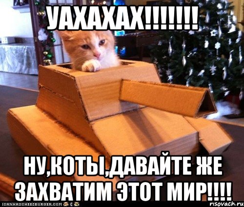 Уахахах!!!!!!! Ну,коты,давайте же захватим этот мир!!!!, Мем Котэ танкист