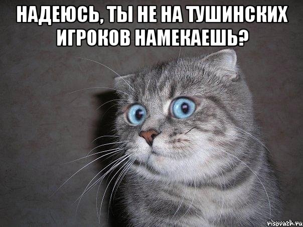 Надеюсь, ты не на тушинских игроков намекаешь? , Мем  удивлённый кот