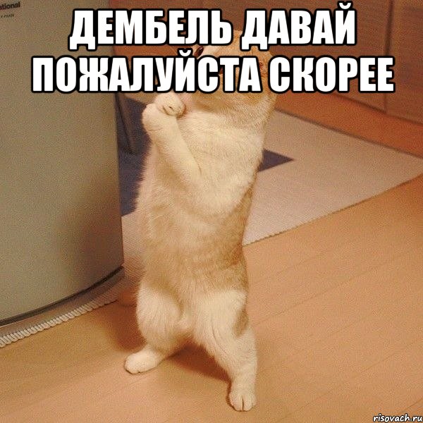 http://risovach.ru/upload/2014/10/mem/kote_62676167_orig_.jpg