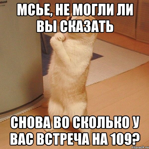 Мсье, не могли ли вы сказать Снова во сколько у вас встреча на 109?, Мем  котэ молится