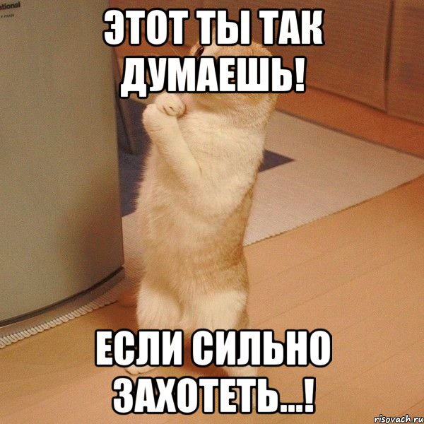 ЭТОТ ТЫ ТАК ДУМАЕШЬ! ЕСЛИ СИЛЬНО ЗАХОТЕТЬ...!, Мем  котэ молится