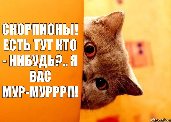 СКОРПИОНЫ! ЕСТЬ ТУТ КТО - НИБУДЬ?.. Я ВАС МУР-МУРРР!!!, Комикс Котенок