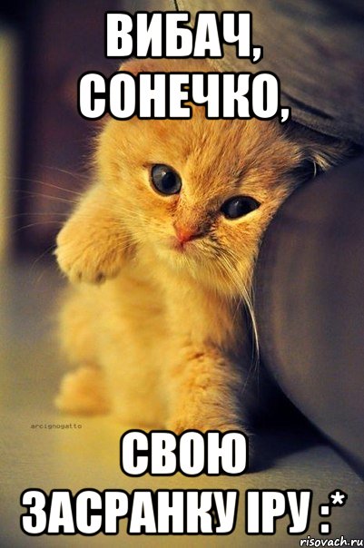 Вибач, сонечко, свою засранку Іру :*