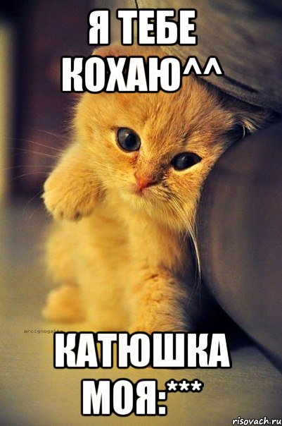 я тебе кохаю^^ Катюшка моя:***