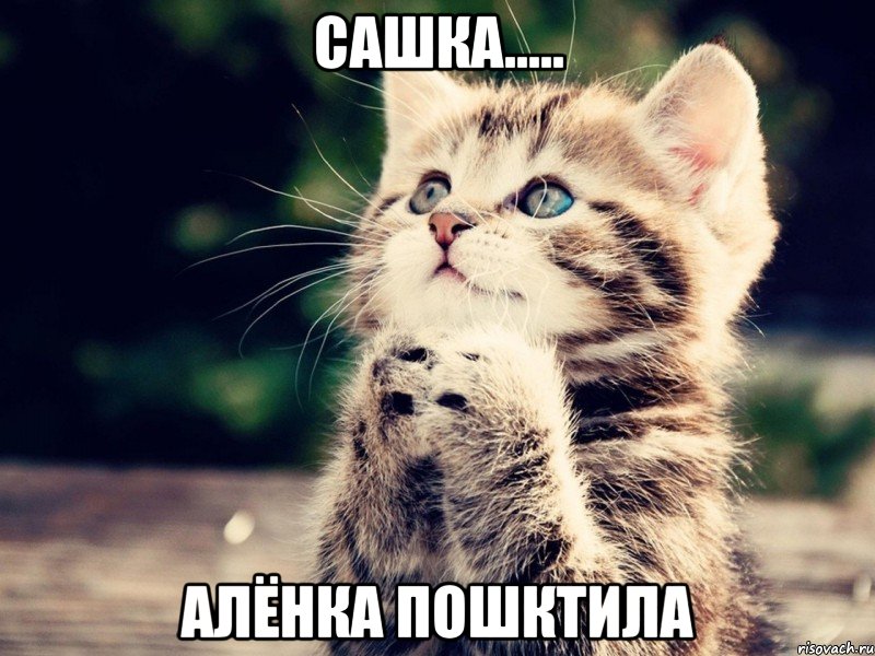 Сашка..... Алёнка пошктила