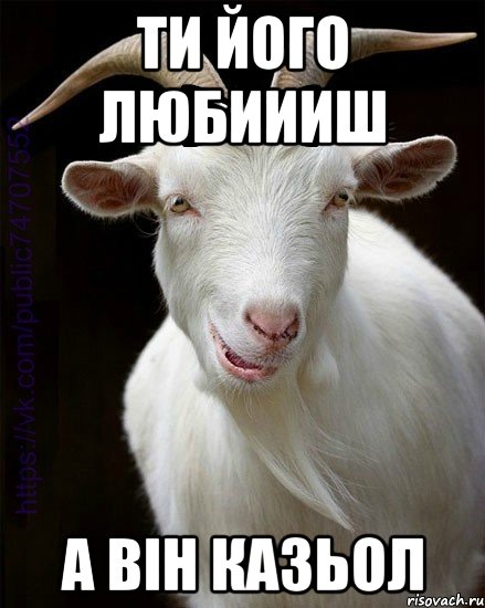 ти його любиииш а він казьол