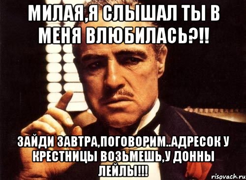 Милая,я слышал ты в меня влюбилась?!! Зайди завтра,поговорим..Адресок у крестницы возьмешь,у Донны Лейлы!!!, Мем крестный отец