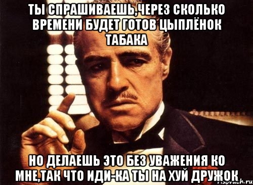 ты спрашиваешь,через сколько времени будет готов цыплёнок табака но делаешь это без уважения ко мне,так что иди-ка ты на хуй дружок, Мем крестный отец