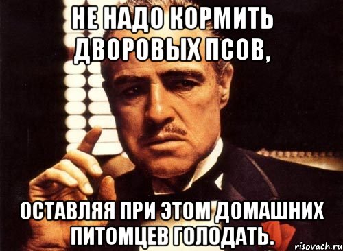 не надо кормить дворовых псов, оставляя при этом домашних питомцев голодать., Мем крестный отец