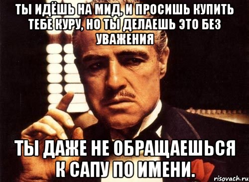 Ты идёшь на мид, и просишь купить тебе куру, но ты делаешь это без уважения Ты даже не обращаешься к сапу по имени., Мем крестный отец