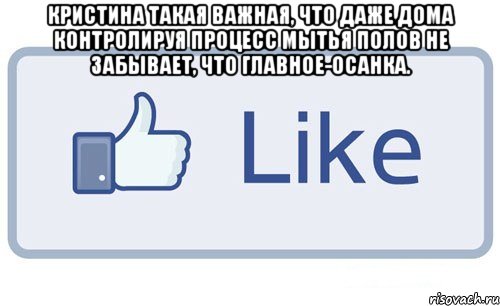 Кристина такая важная, что Даже дома контролируя процесс мытья полов не забывает, что главное-осанка. , Мем Кристина
