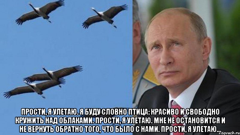  Прости, я улетаю. Я буду словно птица: Красиво и свободно кружить над облаками. Прости, я улетаю. Мне не остановится И не вернуть обратно того, что было с нами. Прости, я улетаю..., Мем КУРЛЫ