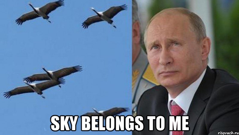  sky belongs to me, Мем КУРЛЫ