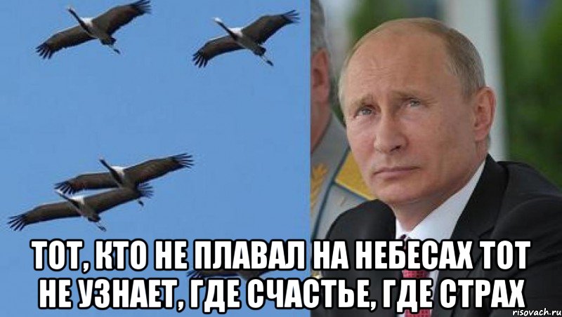  Тот, кто не плавал на небесах Тот не узнает, где счастье, где страх, Мем КУРЛЫ