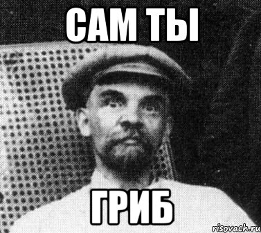 Сам ты Гриб, Мем   Ленин удивлен