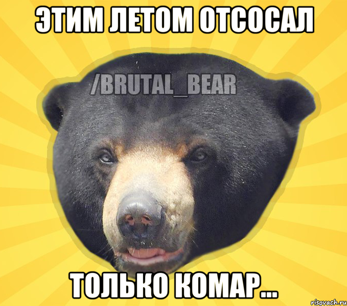 Этим летом отсосал Только комар...