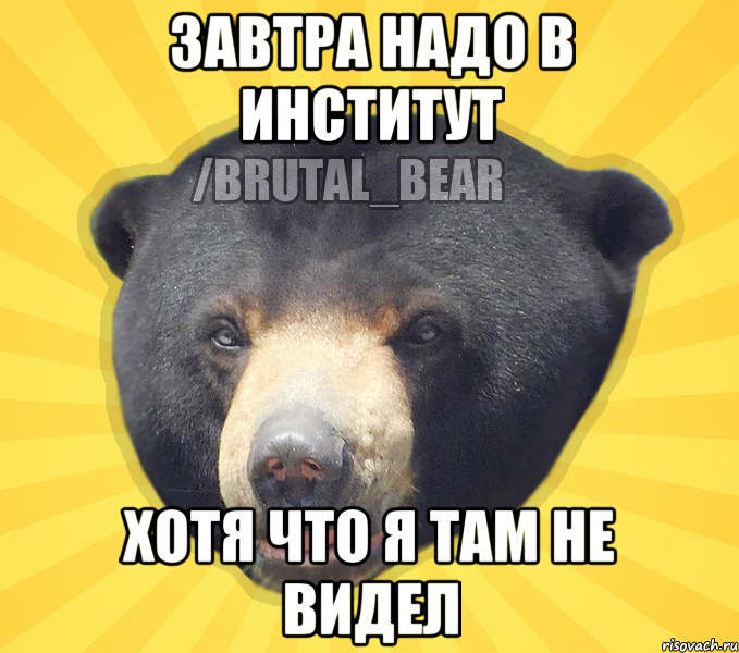 ЗАВТРА НАДО В ИНСТИТУТ ХОТЯ ЧТО Я ТАМ НЕ ВИДЕЛ