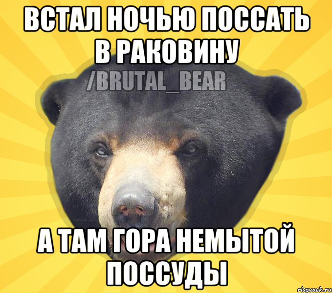 ВСТАЛ НОЧЬЮ ПОССАТЬ В РАКОВИНУ А ТАМ ГОРА НЕМЫТОЙ ПОССУДЫ