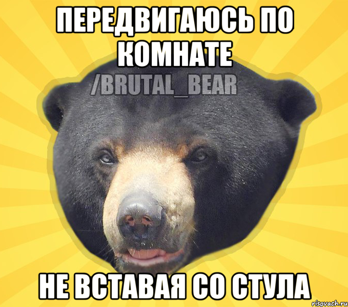 ПЕРЕДВИГАЮСЬ ПО КОМНАТЕ НЕ ВСТАВАЯ СО СТУЛА