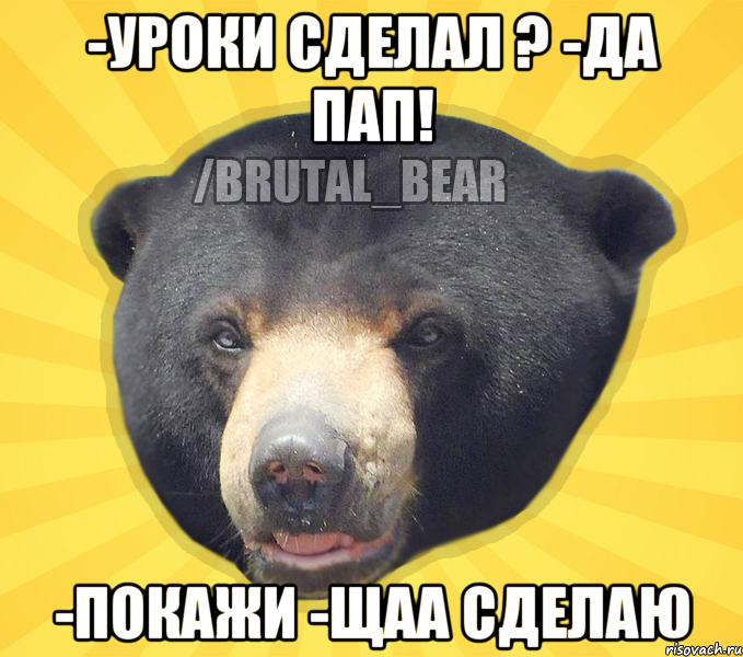 -уроки сделал ? -да пап! -покажи -щаа сделаю