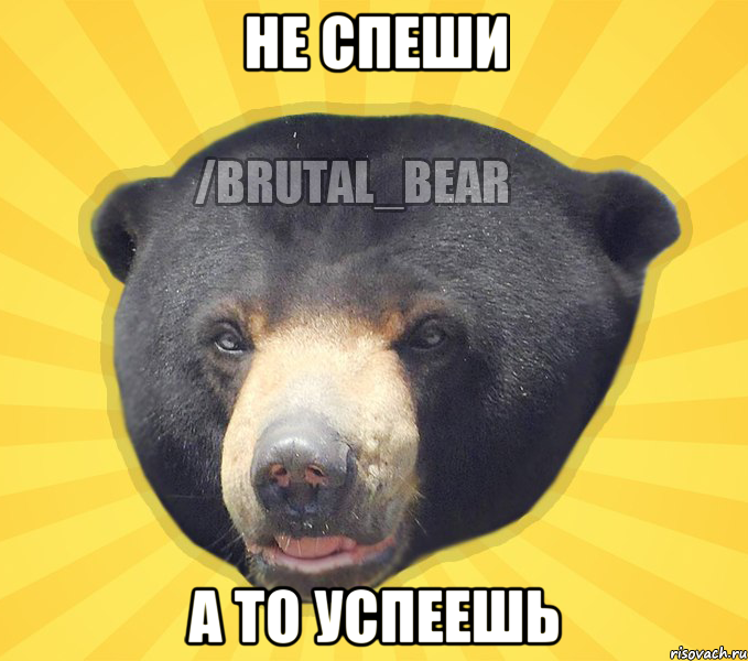 НЕ СПЕШИ А ТО УСПЕЕШЬ